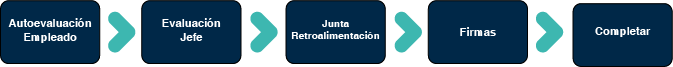 flujo_evaluacion_de_desempeño